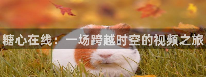 金善雅糖心vlog喝醉：糖心在线：一场跨越时空的视频之旅