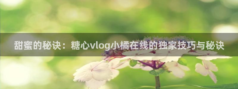 糖心vlog免费ios：甜蜜的秘诀：糖心vlog小橘在线的独家技巧与秘诀