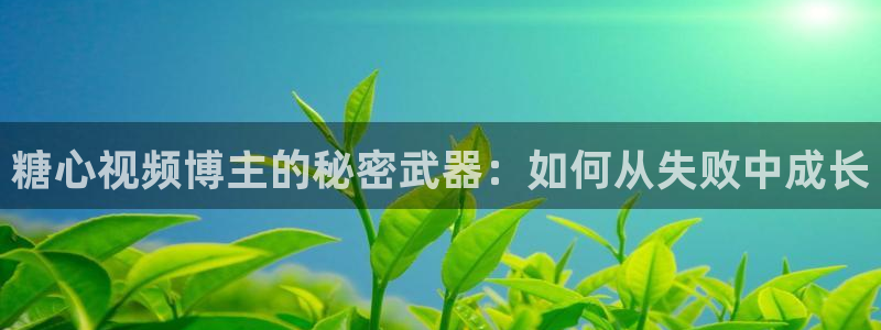 糖心vlog全部演员：糖心视频博主的秘密