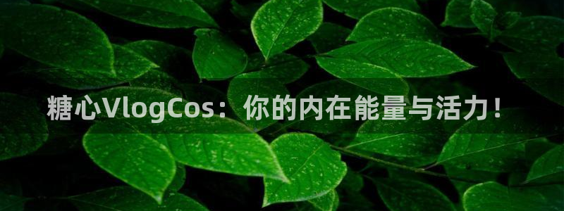 糖心vlog夏日之旅：糖心VlogCos：你的内在能量与活力！