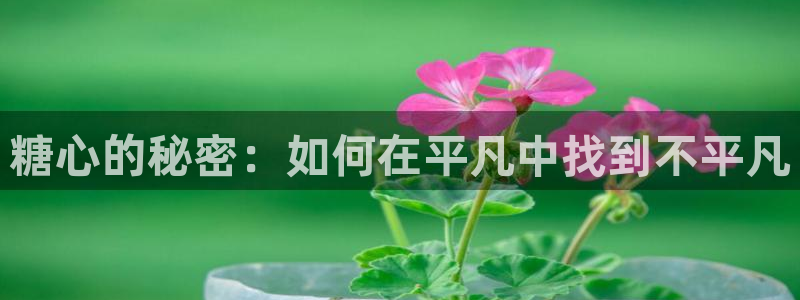 糖心vlog章节：糖心的秘密：如何在平凡中找到不平凡