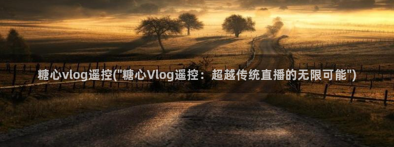 糖心VLOG果冻传媒：糖心vlog遥控(\