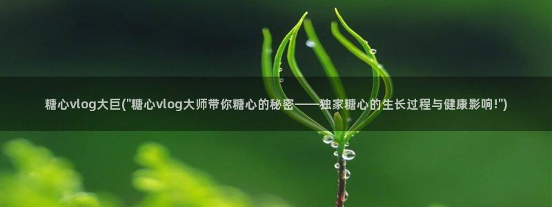 糖心出品小桃vlog：糖心vlog大巨(