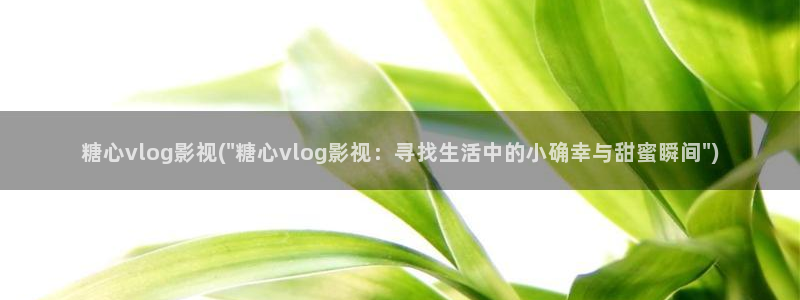糖心vlog被抓：糖心vlog影视(\