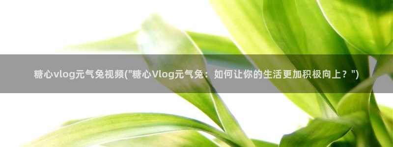 幸福宝糖心vlog：糖心vlog元气兔视频(\