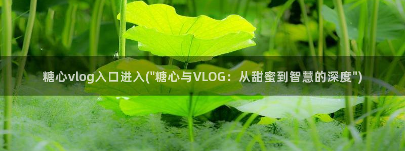 糖心vlog破解版安卓：糖心vlog入口