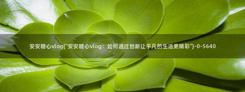 糖心vlog资源下载