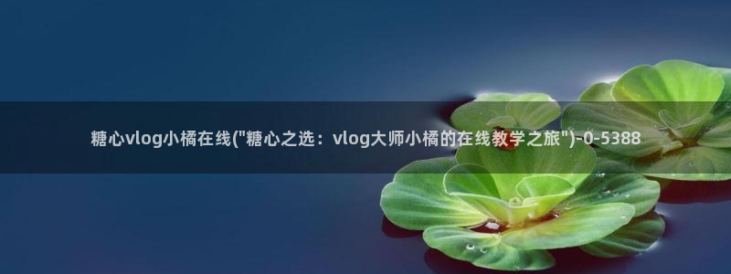 糖心91导航vlog：糖心vlog小橘在线(\