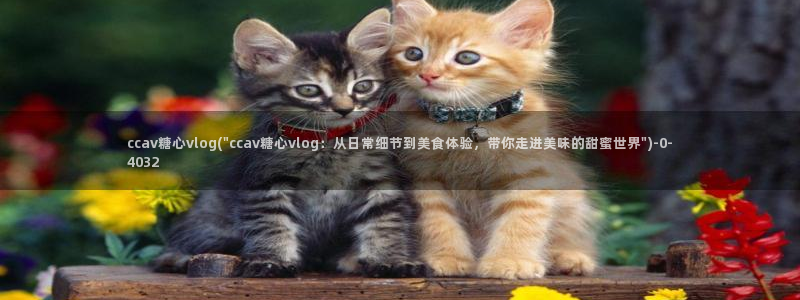 是糖心vlog传媒：ccav糖心vlog