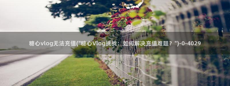 糖心vlog丽江夫妻：糖心vlog无法充值(\