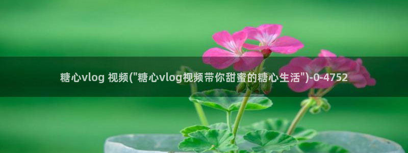 糖心vlog小猫：糖心vlog 视频(\