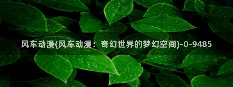 58动漫