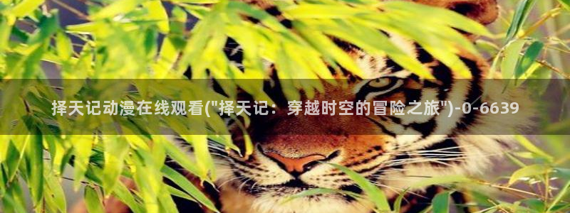动漫美女比基尼：择天记动漫在线观看(\
