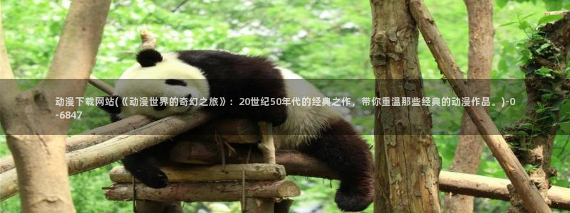 兜兜动漫