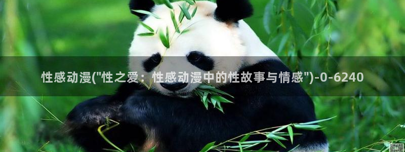黑猫动漫