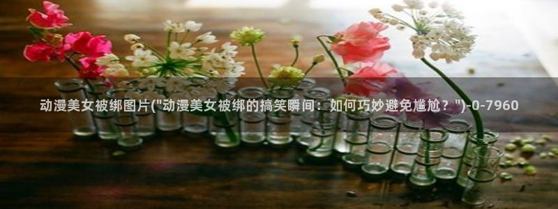 动漫花园资源网