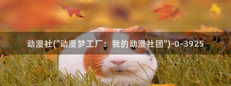 电锯人动漫