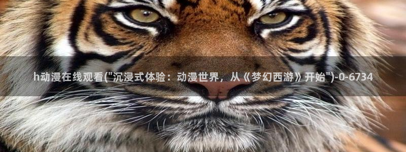 好看的国产动漫
